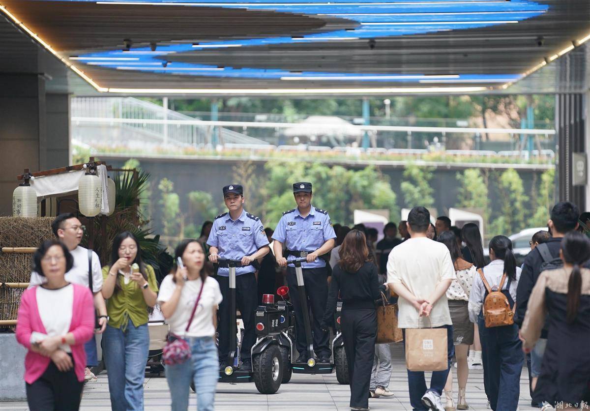 希尔顿真人视频游戏